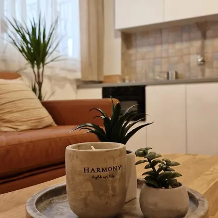 Downtown Harmony Apartment